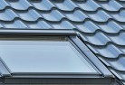 Phoenix Parkskylight-replacements.jpg; ?>